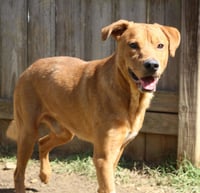 Deuce - Photo 4