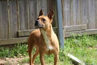 Nemo - Photo 4