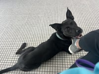 Otis - Photo 5