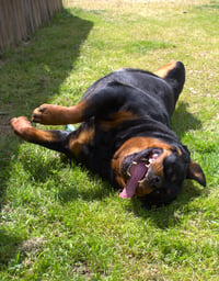 Leona - Photo 3