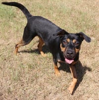 Frannie - Photo 3