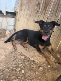 Frannie - Photo 1