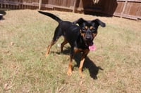 Frannie - Photo 4