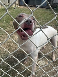 Loretta - Photo 2
