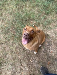 Kathy - Photo 3