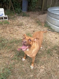 Kathy - Photo 1