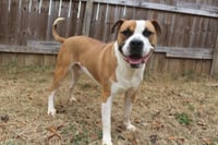 Sully - Photo 3