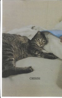 Chisisi - Photo 1