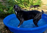 Sansa - Photo 4