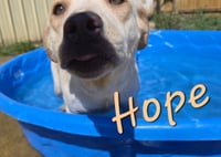 Hope - Photo 6