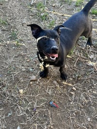 Edith - Photo 2