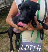 Edith - Photo 3