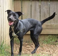 Loretta - Photo 4