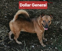 Dollar General - Photo 3