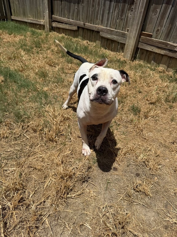 Berkley Image