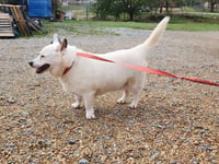 Max - Photo 1