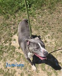 Jamison - Photo 2