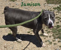 Jamison - Photo 1
