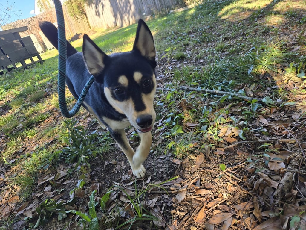 Ellie Image