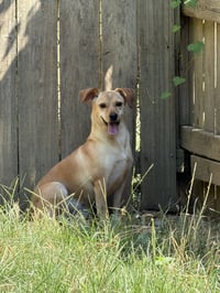 Shirley - Photo 3