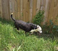 Lawsey Mae - Photo 4