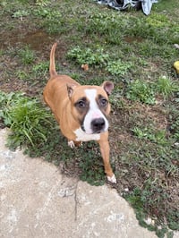 Janice - Photo 2