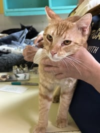 Jake Wyndham - Photo 2