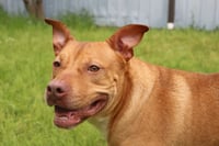 Winnie J - Photo 3