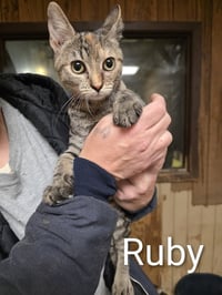 Ruby - Photo 4