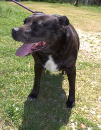 Jasmine - Photo 2