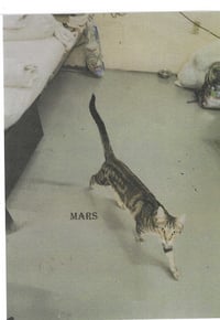 Mars - Photo 3