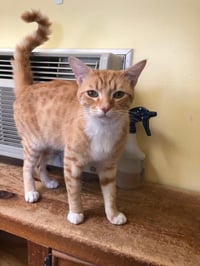 Slider - Photo 2