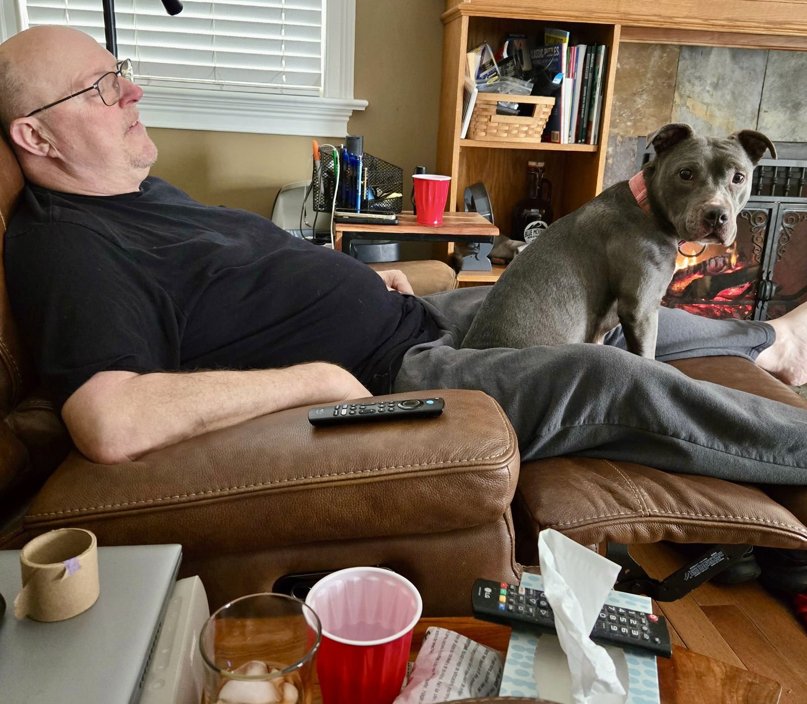 Nala (Terrier) - Photo 8