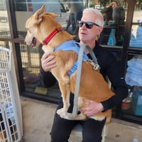 Blondie - Photo 3