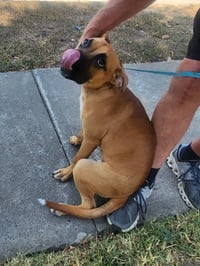 Willow - Photo 3