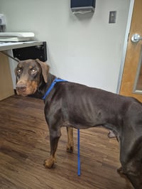 Truman - Photo 2