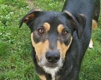 Lager - Photo 3