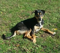 Lager - Photo 4