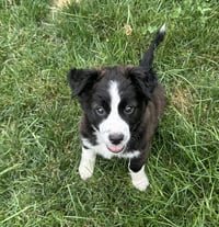 Holly - Photo 3