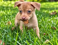 LaRue - Photo 4
