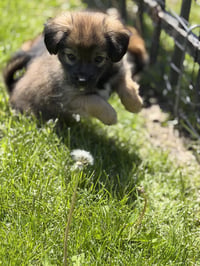 Guinness - Photo 2