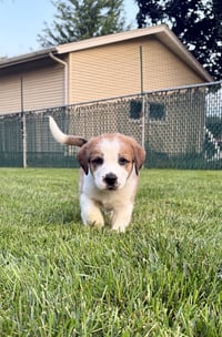Clarebear - Photo 3