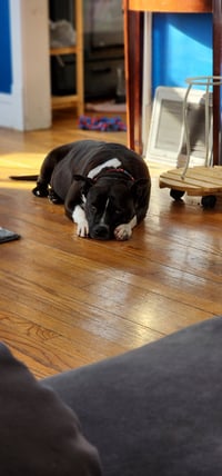 Patty - Photo 5