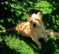 Max - Photo 3