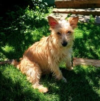 Max - Photo 2