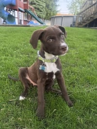 Gladys - Photo 4
