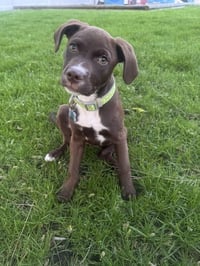 Gladys - Photo 8
