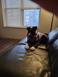 Hope - Photo 2