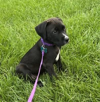 Charlotte - Photo 3