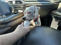 Happy - Photo 11